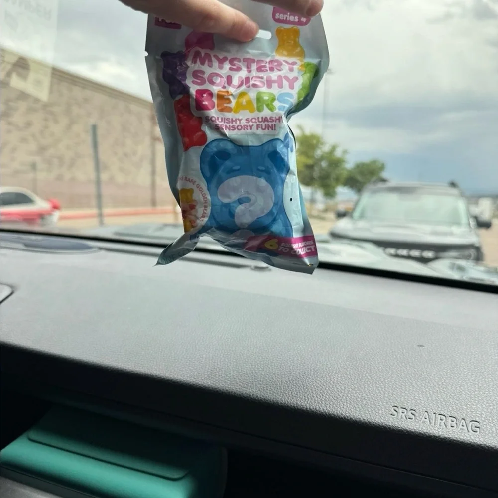 Mystery Squishy Bears Blue Squishy Toy